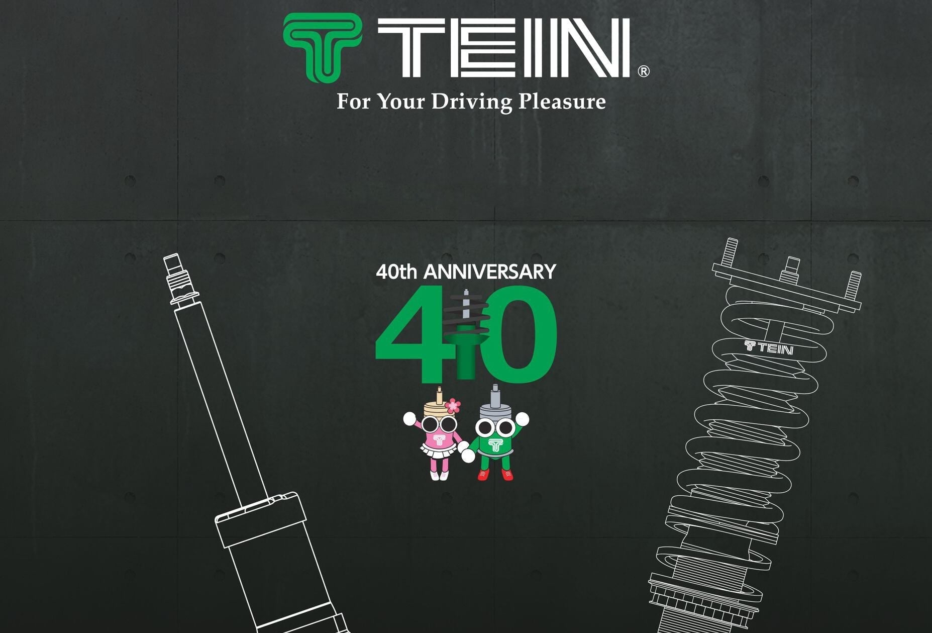 TEIN - フレックスZ - ホンダシビック - 11代目 - FL1 FL4 - 高さと